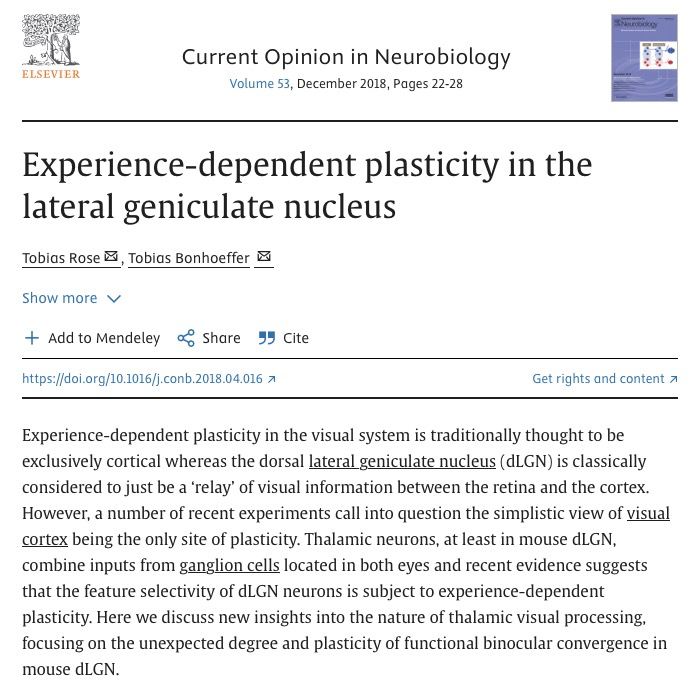 Experience-dependent plasticity in the lateral geniculate nucleus