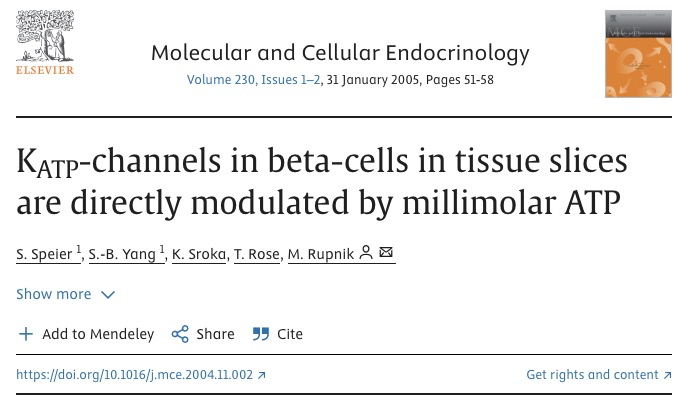 KATP-channels in beta-cells in tissue slices are directly modulated by millimolar ATP