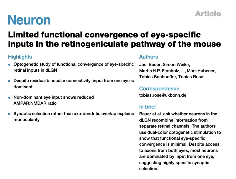Limited functional convergence of eye-specific inputs in the retinogeniculate pathway of the mouse