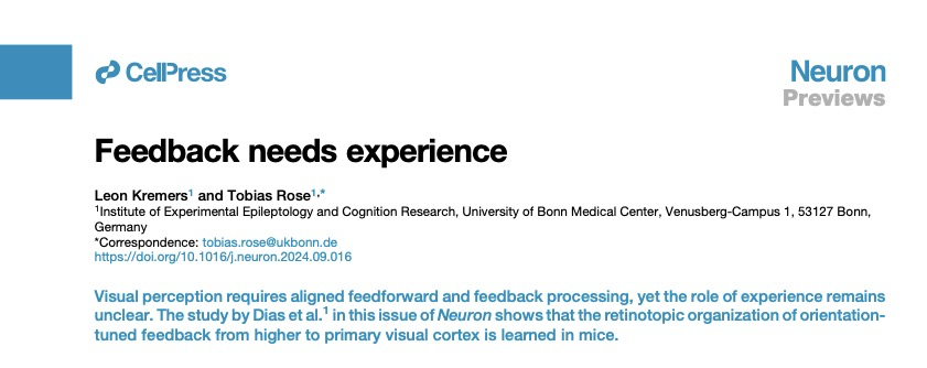 Feedback needs experience