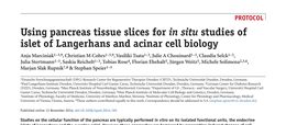 Using pancreas tissue slices for in situ studies of islet of Langerhans and acinar cell biology
