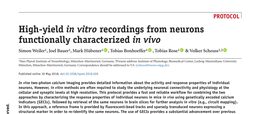 High-yield in vitro recordings from neurons functionally characterized in vivo