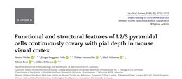 Functional and structural features of L2 3 pyramidal cells continuously covary with pial depth in mouse visual cortex