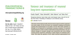 Variance and invariance of neuronal long-term representations