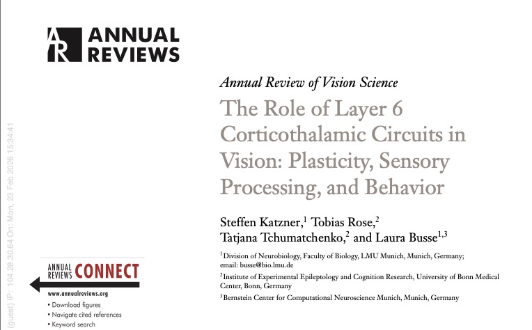 The Role of Layer 6 Corticothalamic Circuits in Vision: Plasticity, Sensory Processing, and Behavior