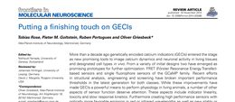 Putting a finishing touch on GECIs