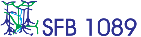 DFG Collaborative Research Center SFB 1089